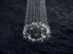 Kohler Devonshire K-10825-4-BN -Kohler 424485 2 10635.1563244812