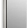Kohler Catalan 1-Door Medicine Cabinet, Satin Anodized Aluminum -Kohler home design 106